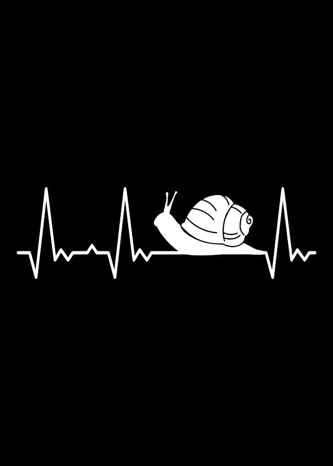 Heartbeat Snail
