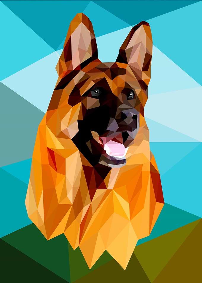 Shepherd