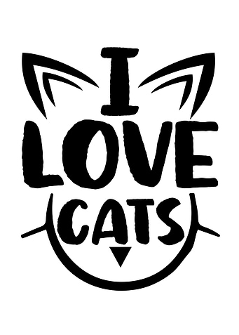 Quotes Cat