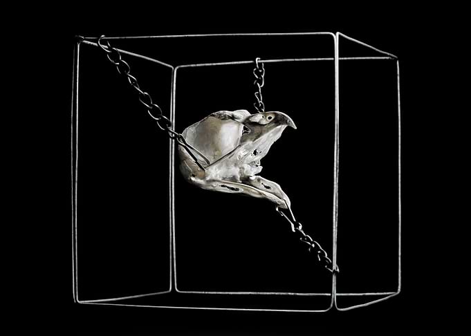 Skull of an owl in chains