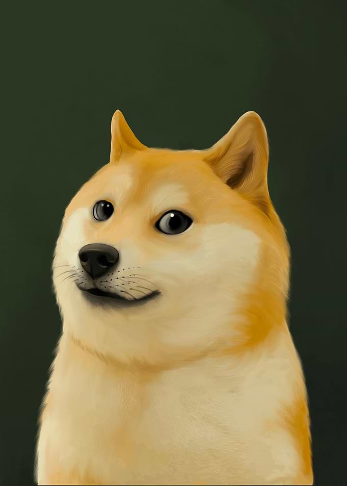 shiba inu
