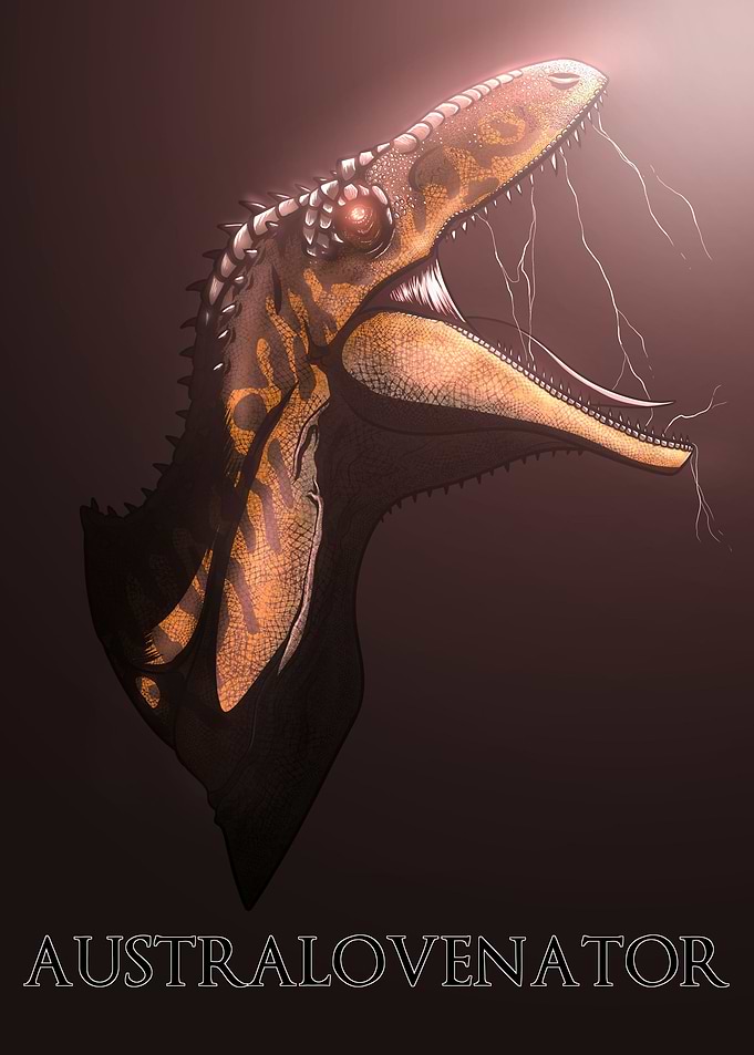 Australovenator