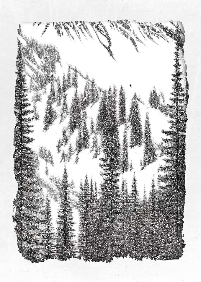 Snowboard and Freeride