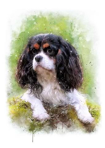 Cavalier puppy watercolor