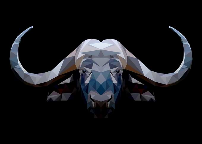 Buffalo