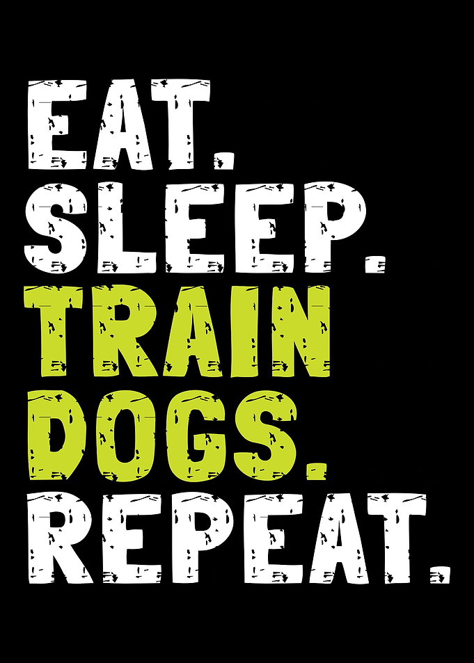 Dog Trainer