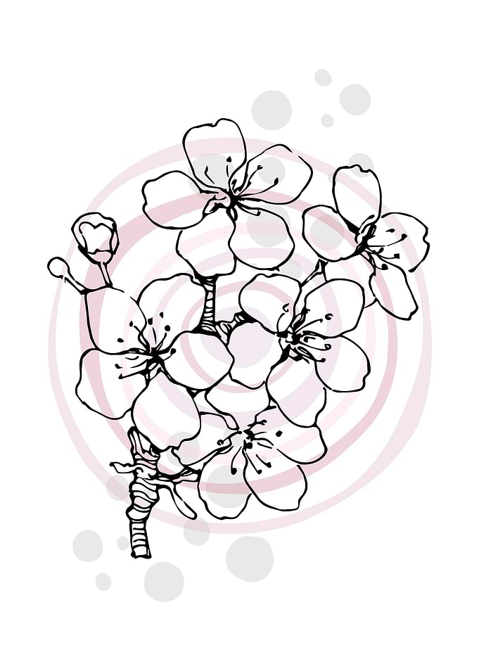 Sakura Minimal