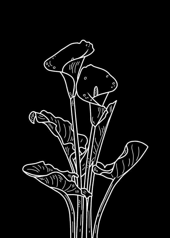 Flowers aesthetic line