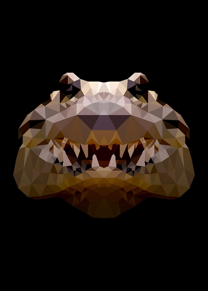 Alligator