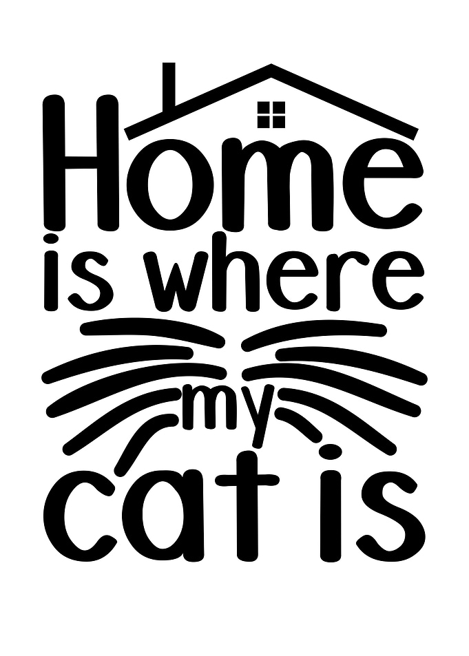 Quotes Cat