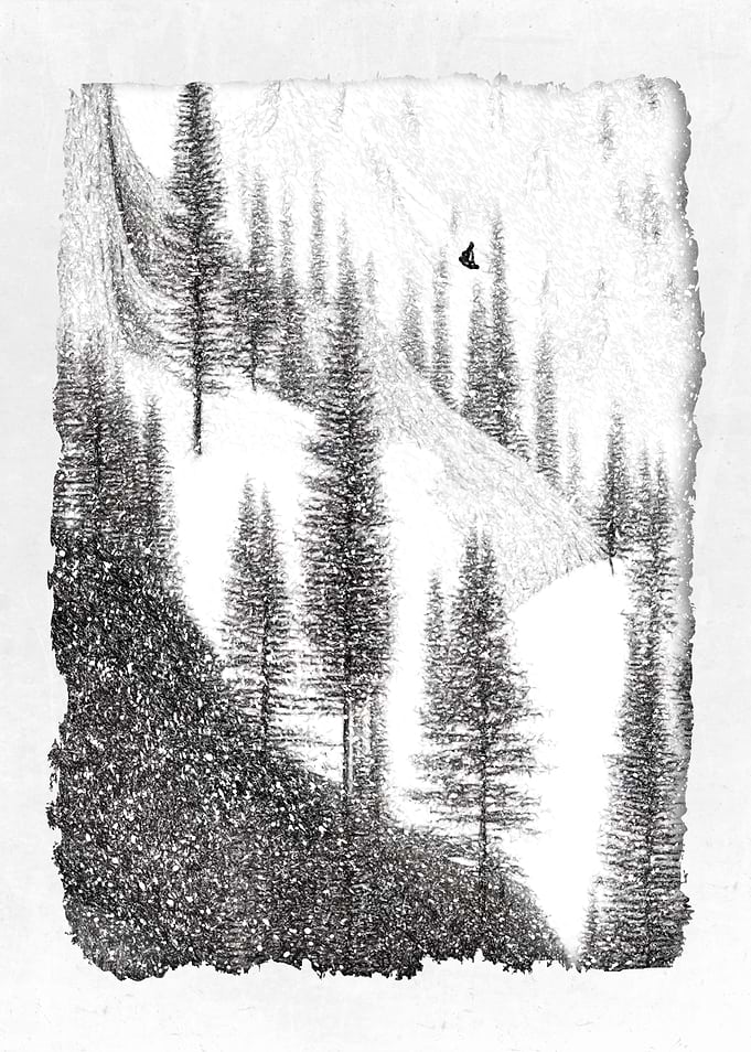 Snowboard and Freeride