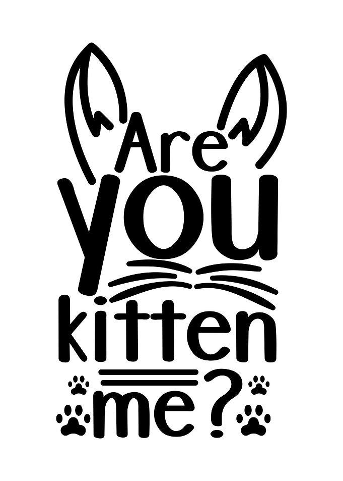 Quotes Cat