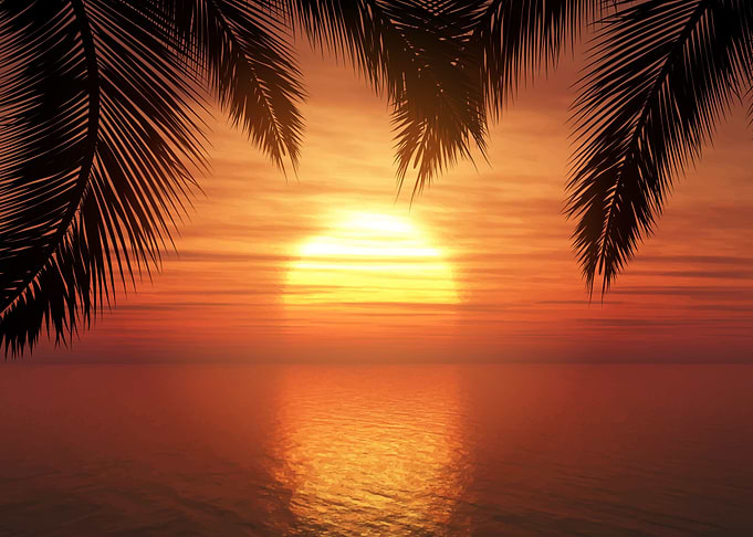 Palm Trees Sunset