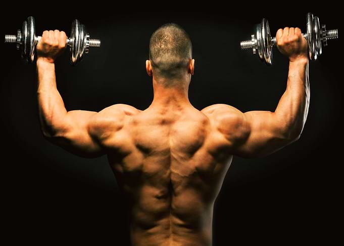 Gym Bodybuilding Sport 57