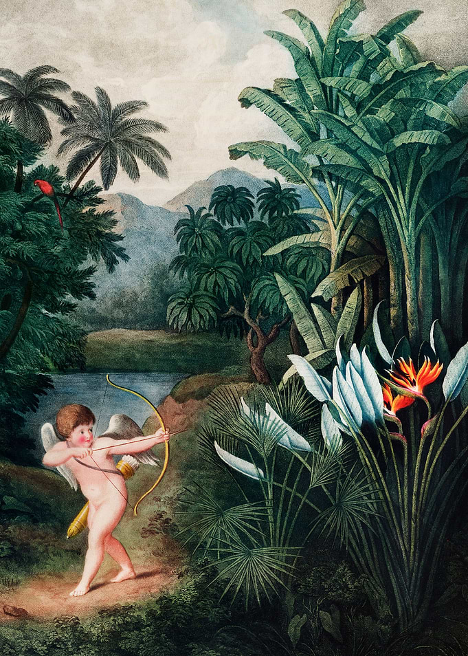 Cupid Inspiring Plants