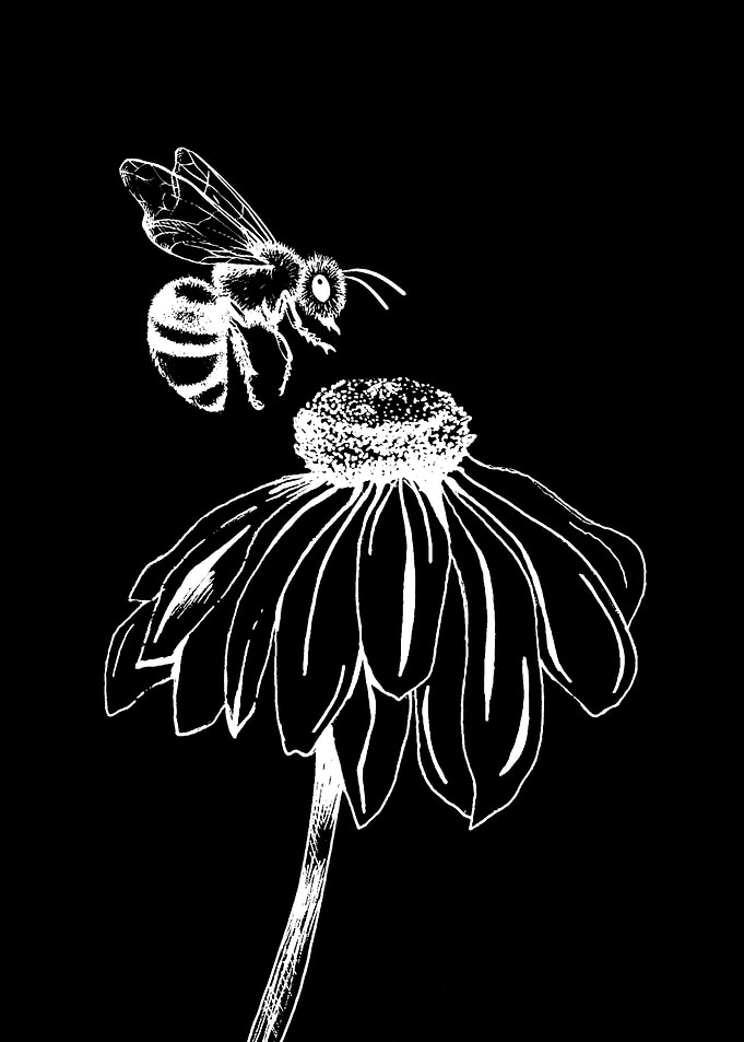 Bee with sun flowers