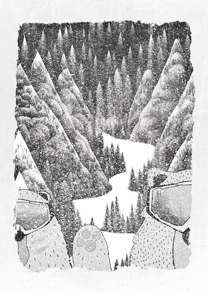 Snowboard and Freeride