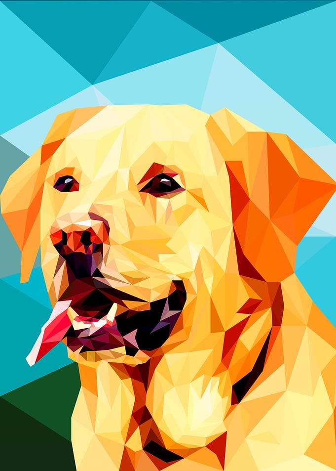 Labrador