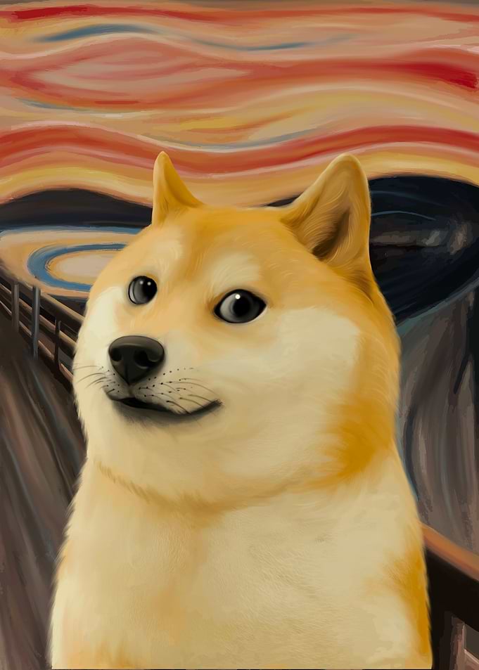 shiba inu