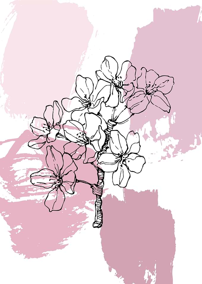 Modern Sakura flower natur