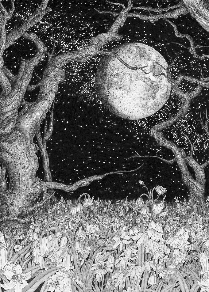 Midnight Flowered Forest