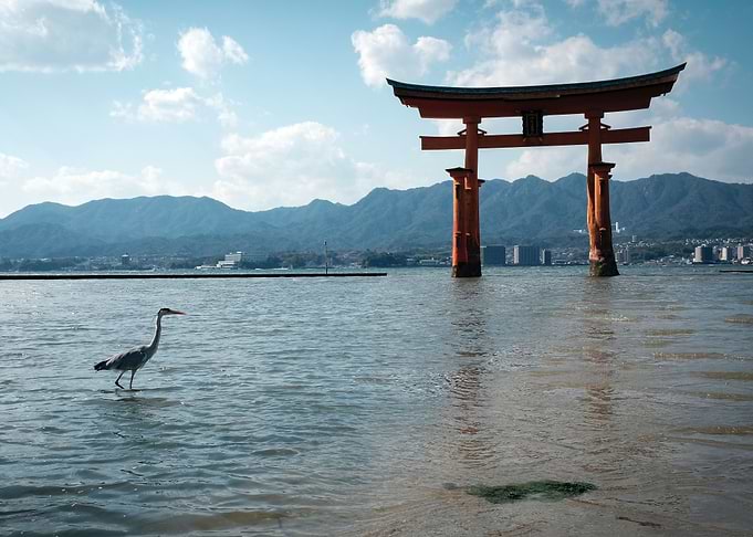 Fresh views of Torii Gates