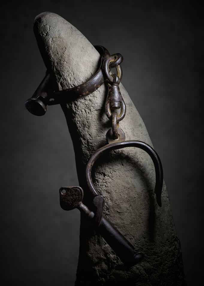 Rhino horn handcuffed