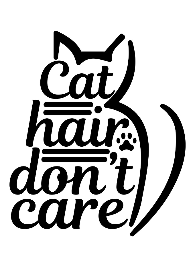 Quotes Cat