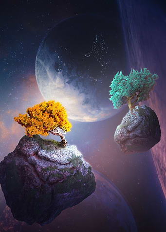 Vibrant Trees