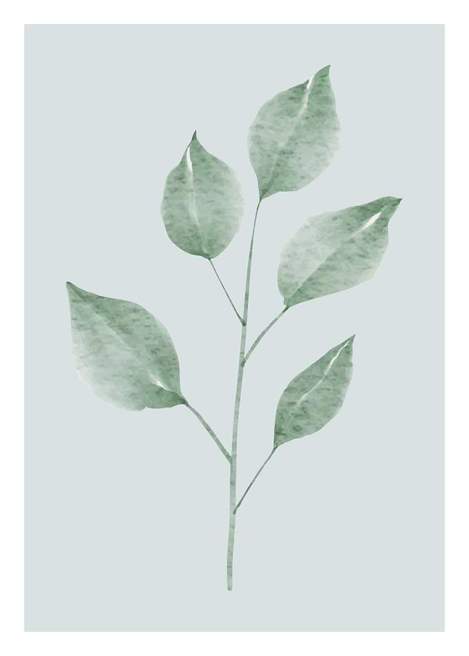 Floral Decorative