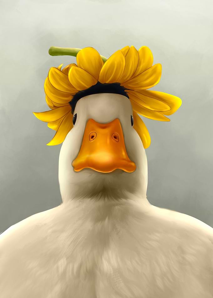 close up duck