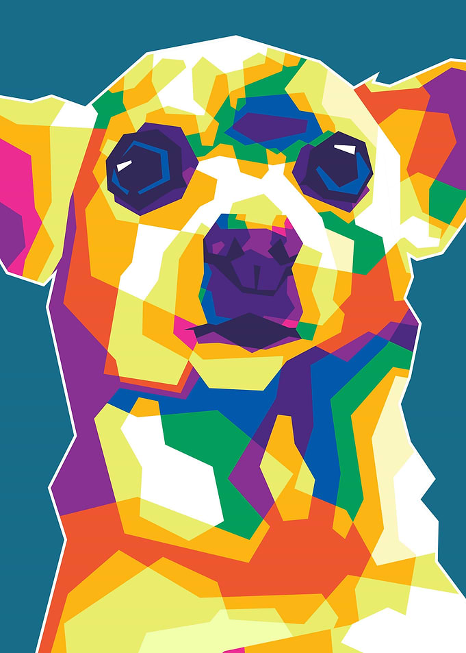 Animals dog