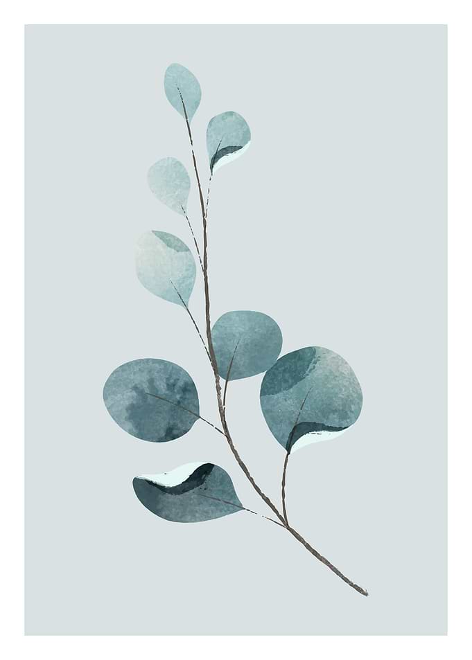 Floral Decorative