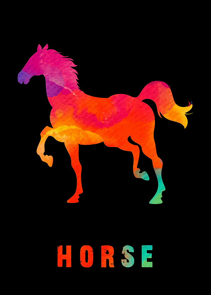 Horse Colorfull Animal