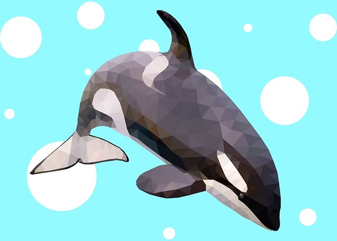Orca