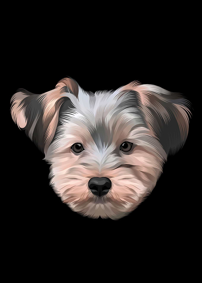 Dog 2