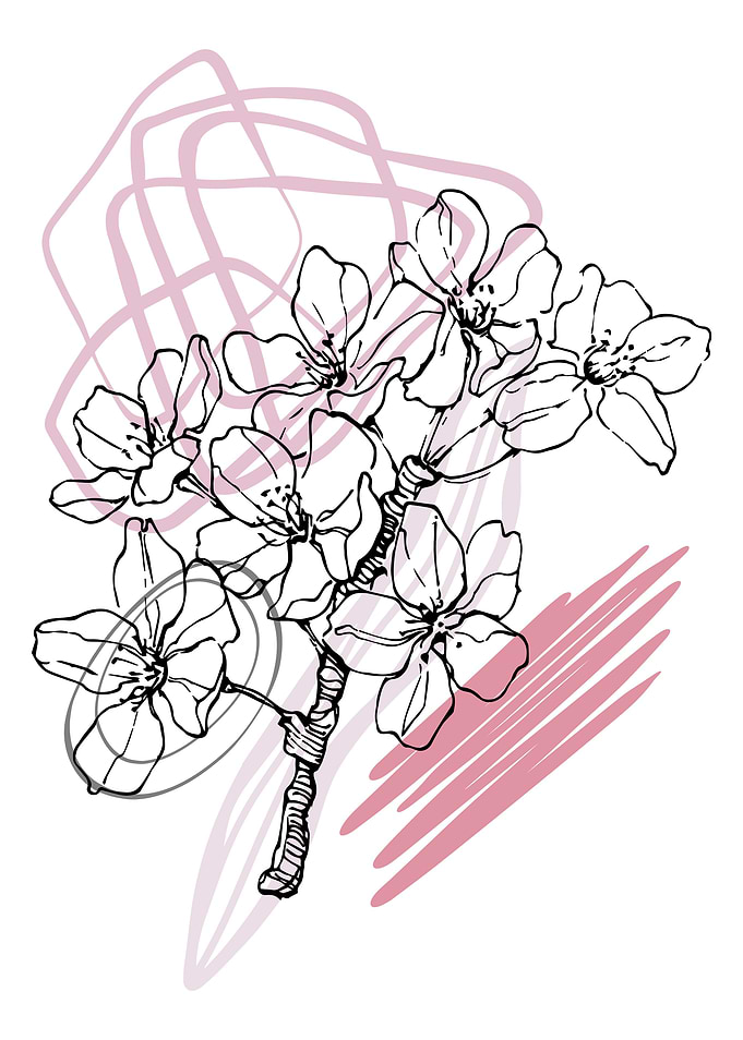 Sakura Simple Minimal