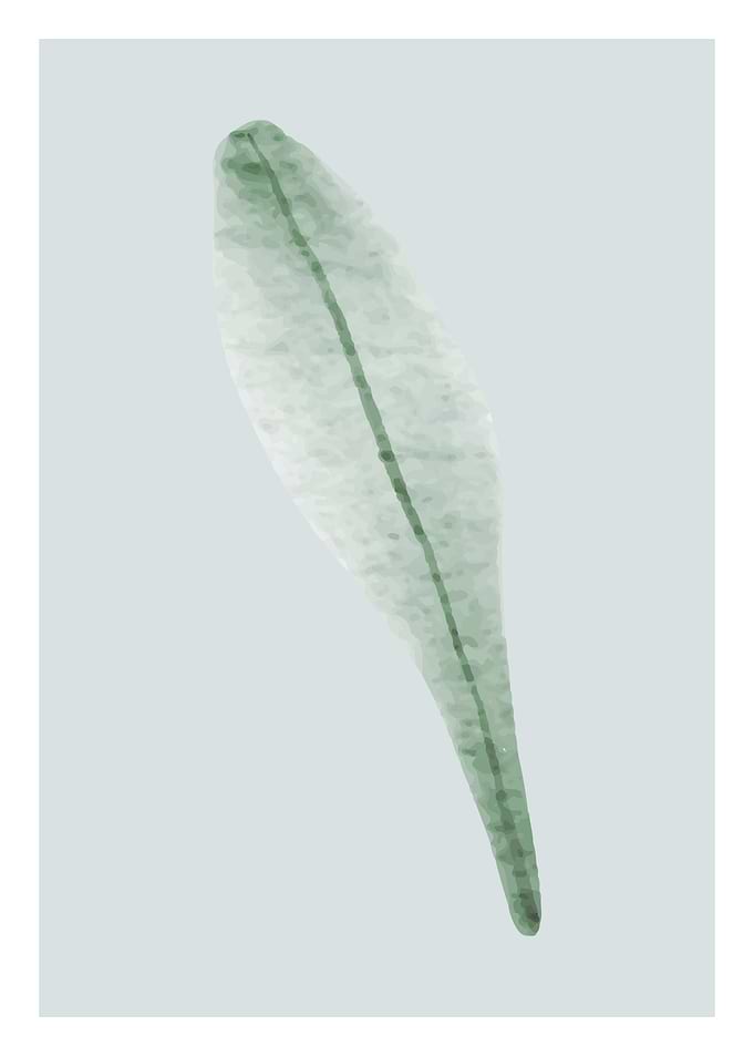 Floral Decorative