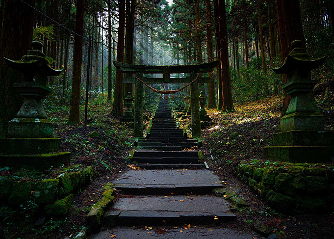 Evergreen Torii Gate