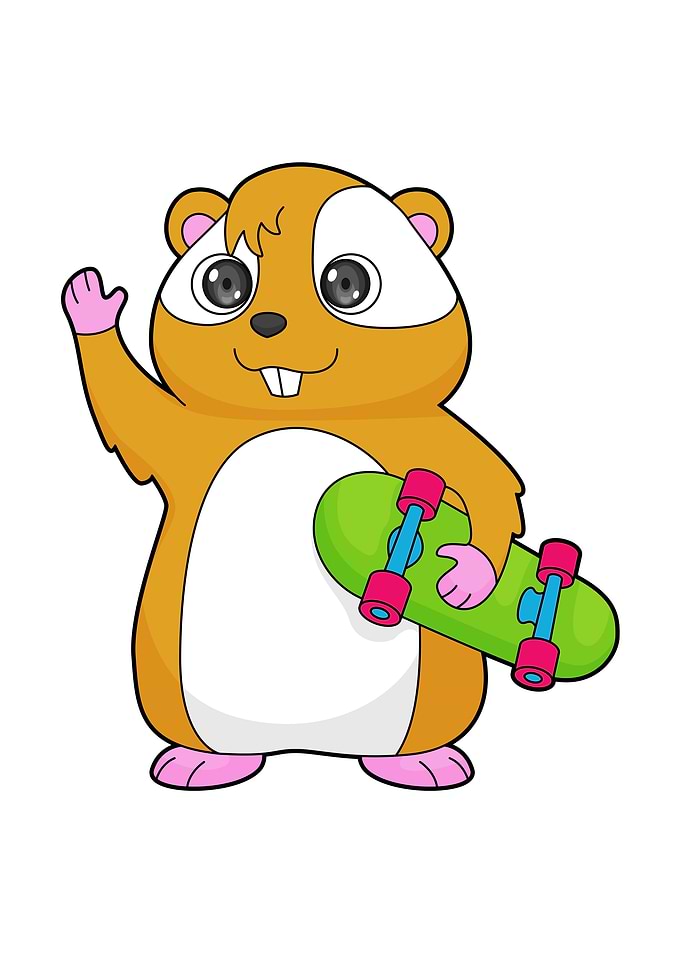 Hamster Skater Skateboard