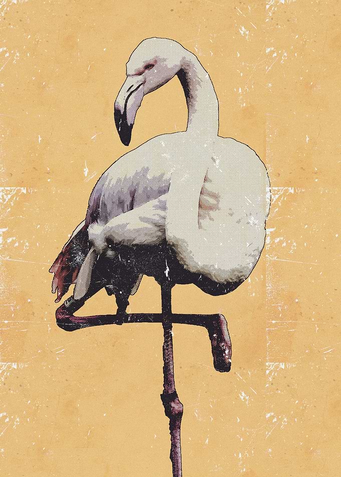 Cute Flamingo Comic Art