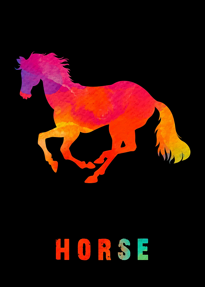 Horse Colorfull Animal