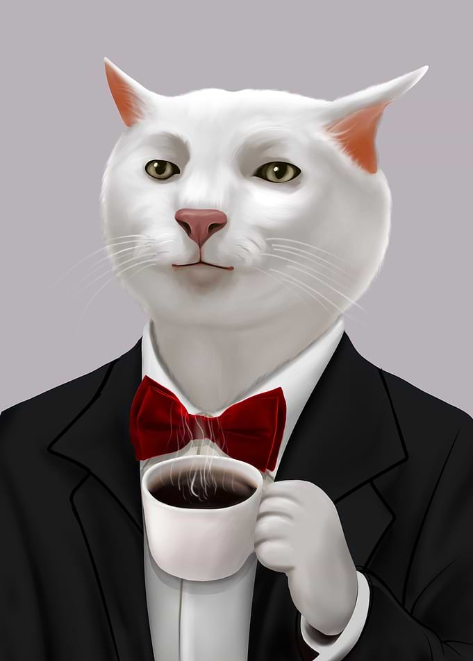 cat and coffee