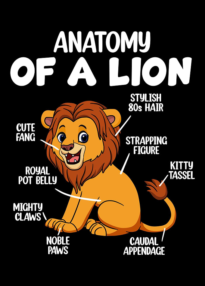 Anatomy Of A Lion