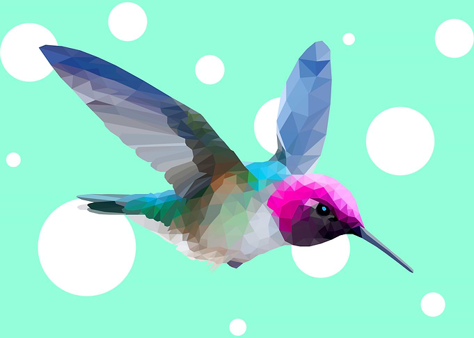Hummingbird