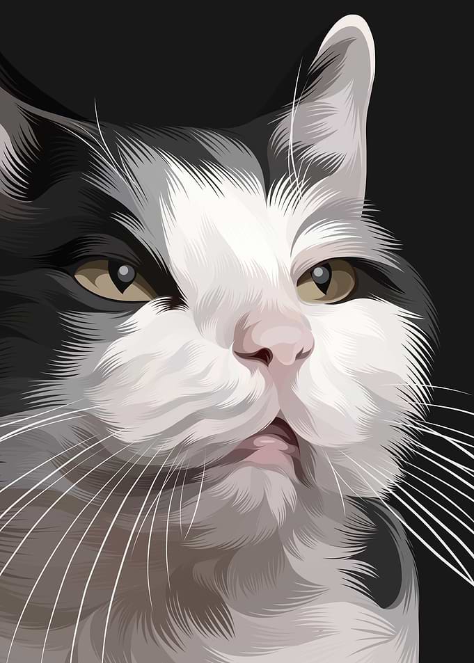 cat