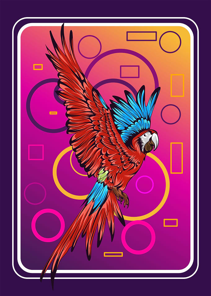 Illustrations of parrot