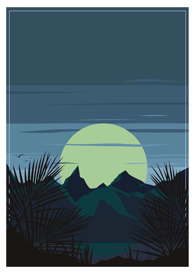 Night In The Jungle