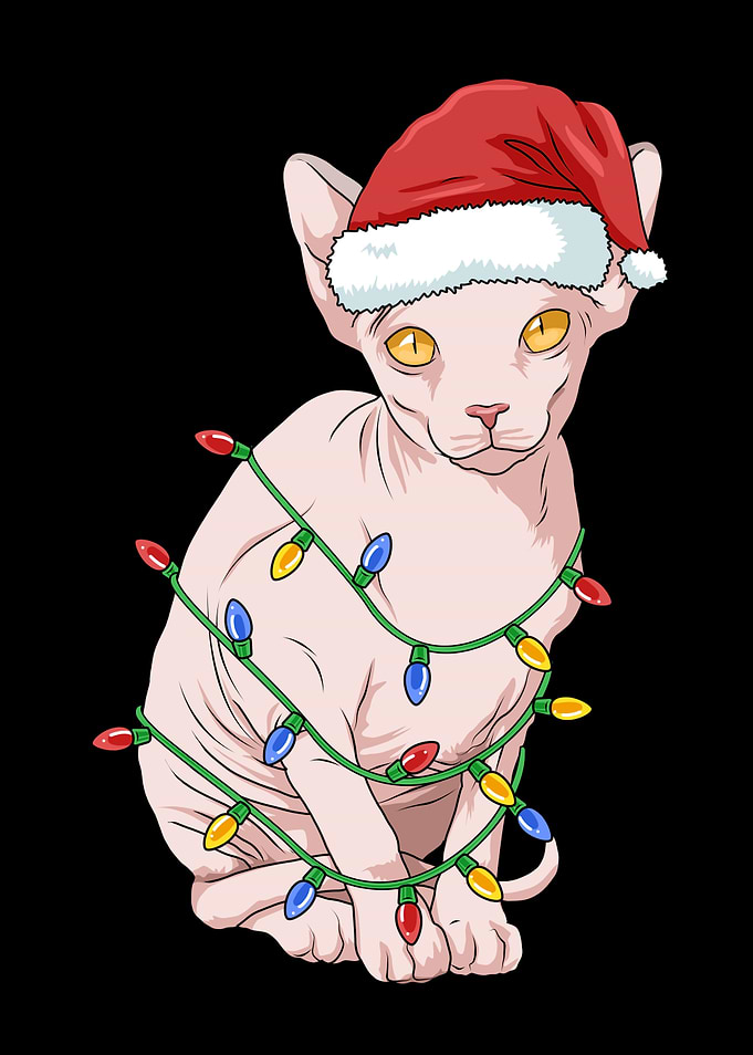 Christmas Sphynx Cat Gift