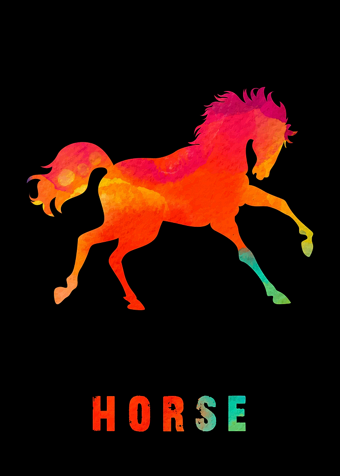 Horse Colorfull Animal